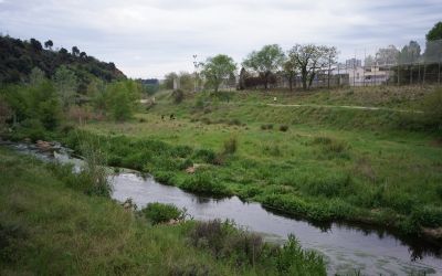 El riu Ripoll al seu pas per Sabadell | Pere Gallifa